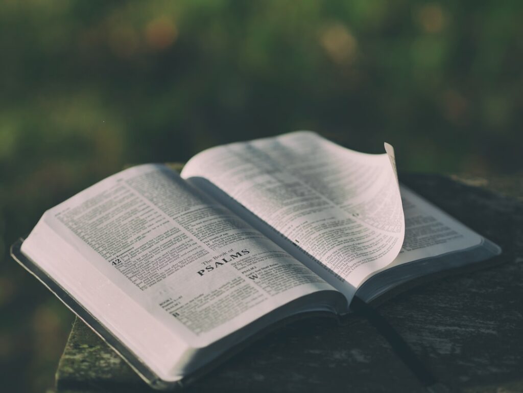 opened-bible-book-on-grey-surface-c333d6yehi0