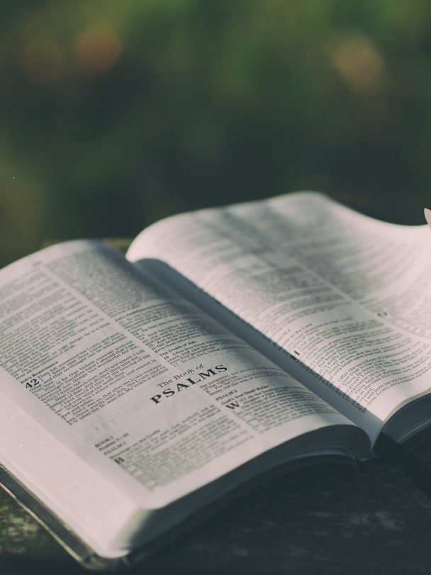 opened-bible-book-on-grey-surface-c333d6yehi0