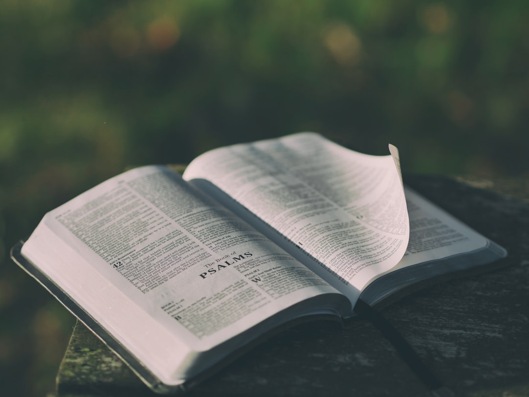 opened-bible-book-on-grey-surface-c333d6yehi0